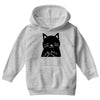 black cat (2) Youth Hoodie