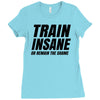 Train Insane Or Remain The Same Ladies Fitted T-Shirt
