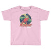 robin the boy wonder Toddler T-shirt