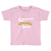 queens are born in june Toddler T-shirt
