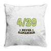 never remember Throw Pillow