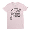 awesome Ladies Fitted T-Shirt