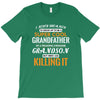 I Never Dreamed I'd Grow Up To Be A Super Cool Grandfather Of Freaking T-Shirt