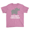 chubby unicorn rhino Youth Tee