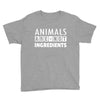 Animals Are Not Ingredients Youth Tee