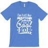 not like a regular mom i'm a cool mom T-Shirt