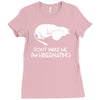 retro hippo cartoon anime classic Ladies Fitted T-Shirt
