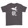 panzer dragoon saga Youth Tee