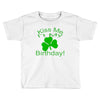 kiss me i't my birthday pi Toddler T-shirt