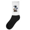 who loves labrador retriever Socks