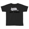 Cat Says Not Today Toddler T-shirt