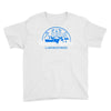 walter white laboratories Youth Tee
