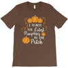 i teach the cutest pumpkins in the patch T-Shirt