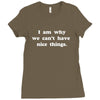 i am why we can't have nice things Ladies Fitted T-Shirt