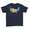 periodic table of america Youth Tee