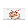 Baby Fox Belly License Plate