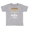 Gemini Hated By Many Wanted By Plenty Disliked By Some Confronted By N Toddler T-shirt