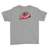 wookie cushion Youth Tee