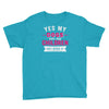 yes dogs are my children. get over it Youth Tee