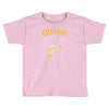 gotham rogues Toddler T-shirt