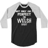 perfect welsh 3/4 Sleeve Shirt