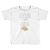 ice cream or a felony Toddler T-shirt