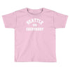 seattle vs everybody Toddler T-shirt