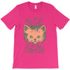 my cat is on the internet T-Shirt