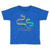 aurora Toddler T-shirt