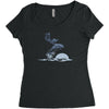 dolphin rider Women's Triblend Scoop T-shirt