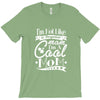 not like a regular mom i'm a cool mom T-Shirt