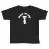 crazy cat lady Toddler T-shirt