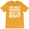 i'm not arguing i'm simply explaining why i'm right T-Shirt