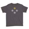 deutschland weltmeitser 4 sterne Youth Tee