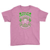 top trending ao412 sons of ireland hooligans motorcycle club irish bes Youth Tee