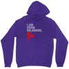delaware state trending Unisex Hoodie