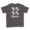 aquarius zodiac Youth Tee
