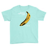 the velvet underground rock music band Youth Tee