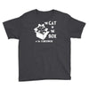 the cat in the box Youth Tee