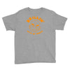 krillin with my homies Youth Tee