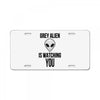 grey alien License Plate