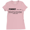 Feminist Noun Ladies Fitted T-Shirt
