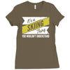 skiing thing wouldn't understand Ladies Fitted T-Shirt