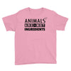 Animals Are Not Ingredients Youth Tee