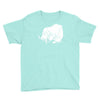 sancho und pancho kult fun fr&ouml;sche frog oldschool Youth Tee