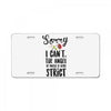 sorry i can't the angel of music is very strict License Plate