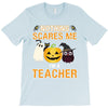 nothing scares me i'm a teacher T-Shirt