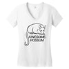 awesome Women's V-Neck T-Shirt