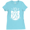 i only have one cat my cat has a few cat Ladies Fitted T-Shirt