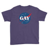 Nasa Parody Gay Youth Tee